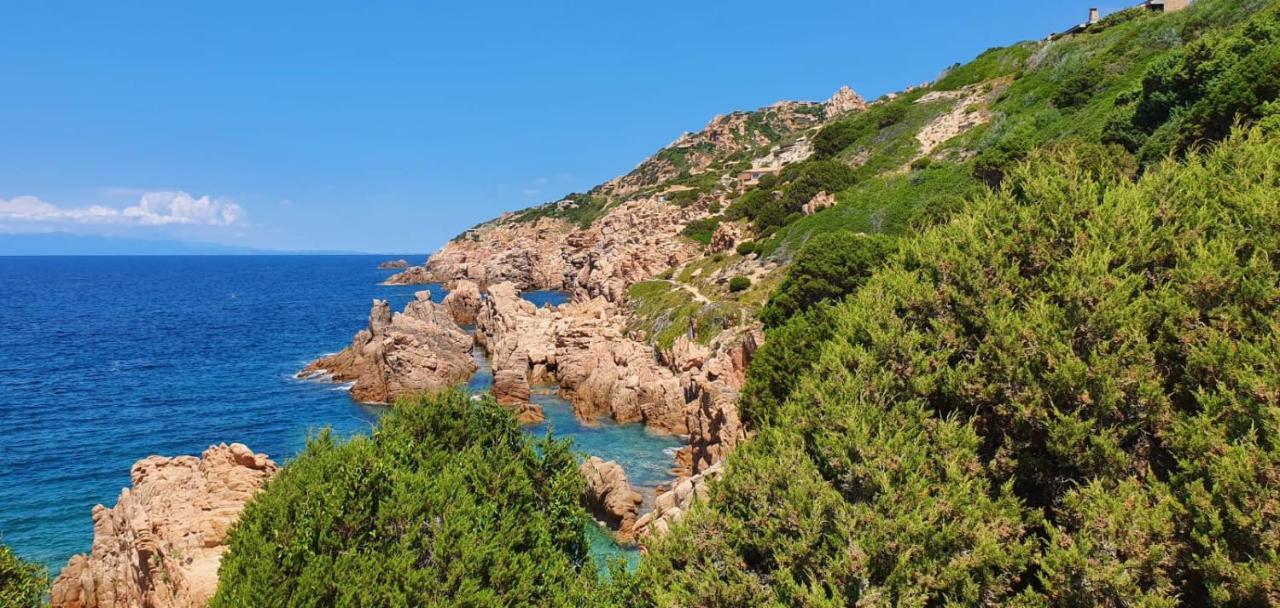 Appartamento Borgo La Vigna Trinità dʼAgultu Dış mekan fotoğraf